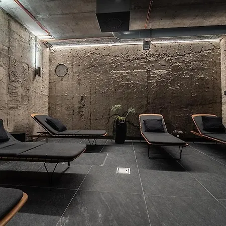 Loft12 - Pool, Wellness, Gym, 12min To Center Prag